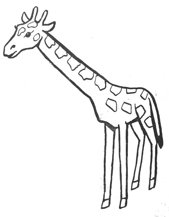 Coloriage Girafe Couleur Dessin Gratuit À Imprimer encequiconcerne Dessin Girafe Facile