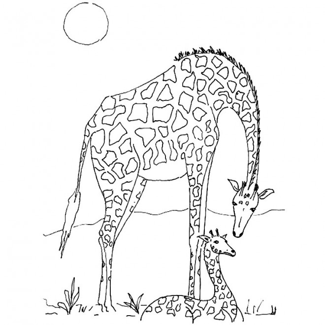 Coloriage Girafe D&amp;#039;Afrique Dessin Gratuit À Imprimer dedans Dessin D Animaux À Imprimer 