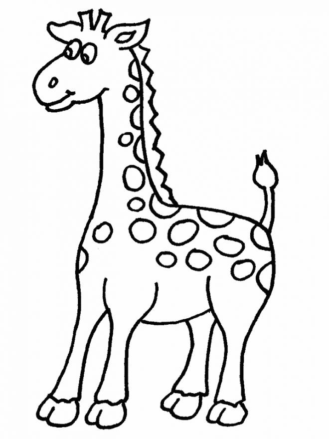 Coloriage Girafe Gratuit À Imprimer dedans Coloriage
