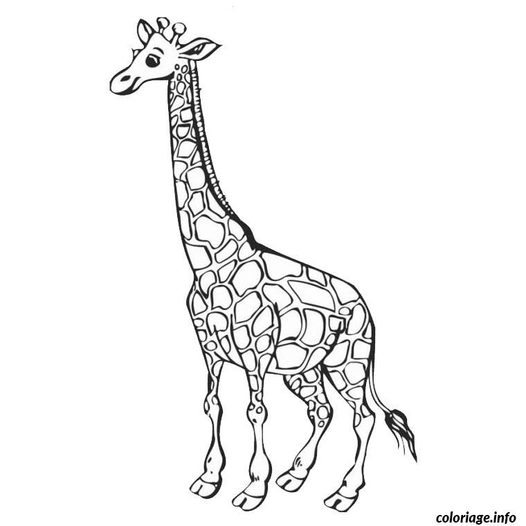 Coloriage Girafe Madagascar Dessin Animaux À Imprimer à Coloriage Girafe 