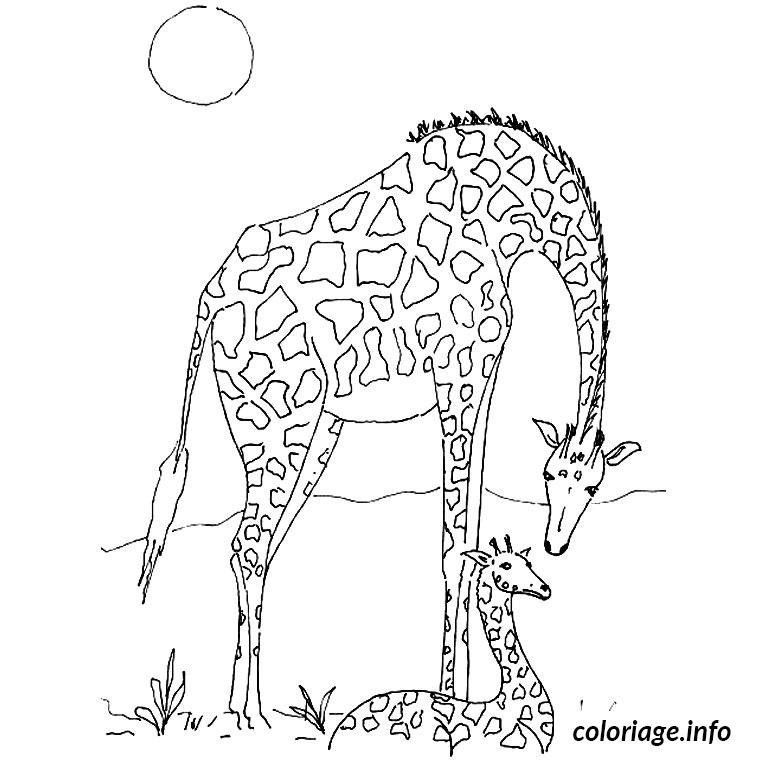 Coloriage Giraffe Dessin Animaux À Imprimer destiné Animaux D Afrique Coloriage 