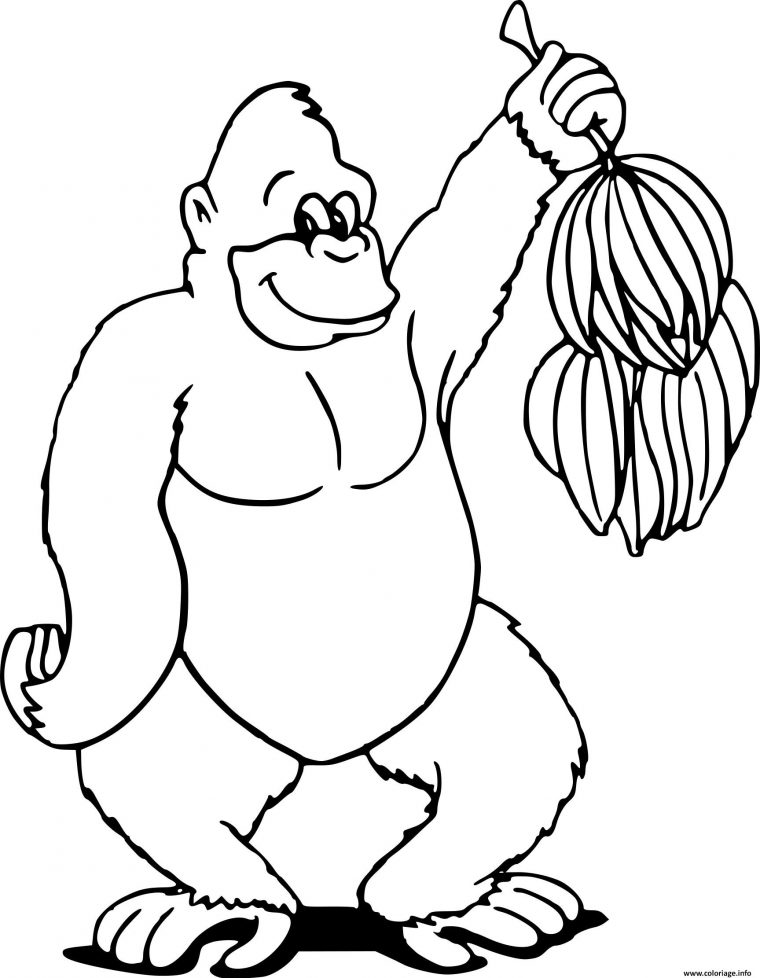 Coloriage Gorille Aime Les Bananes De La Jungle Dessin avec Coloriage Les Animaux Sauvages