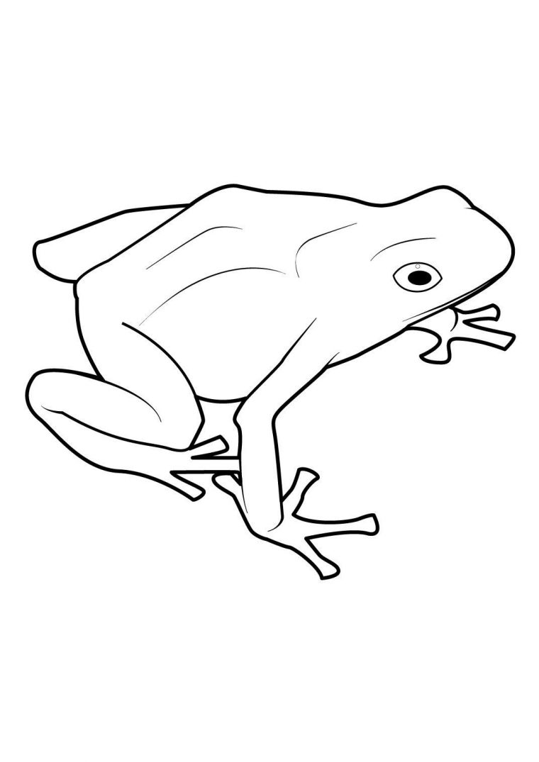 Coloriage Grenouille 11 – Coloriage Grenouilles tout Grenouille À Colorier