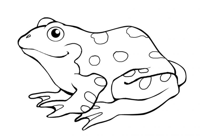 Coloriage Grenouille #7605 (Animaux) – Album De Coloriages intérieur Dessin Grenouille