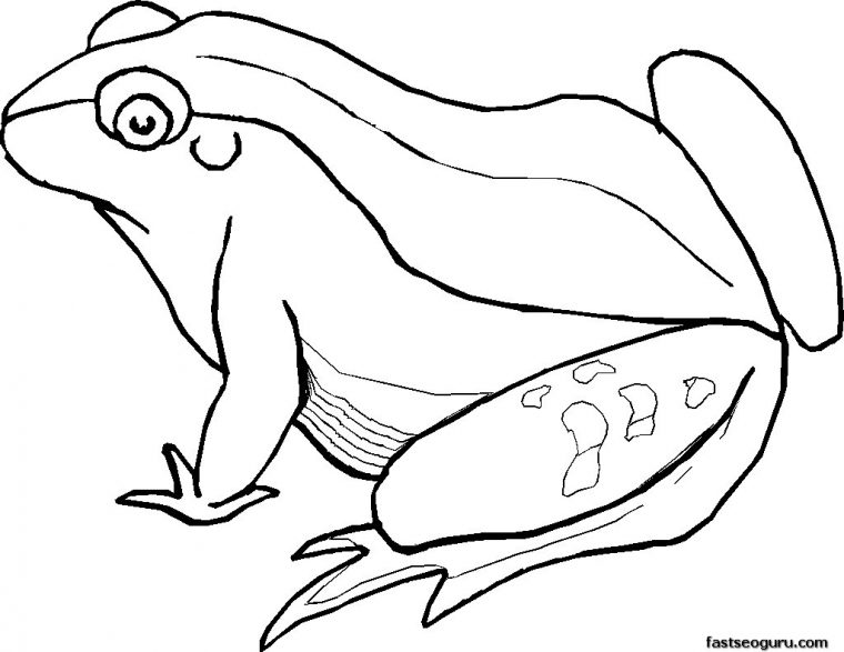 Coloriage Grenouille #7655 (Animaux) – Album De Coloriages pour Grenouille À Colorier