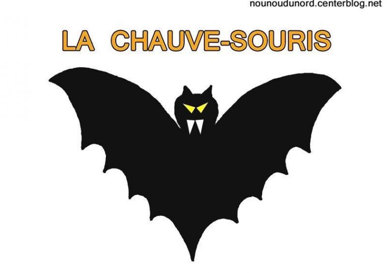 Coloriage Halloween Chauve Souris avec Dessin Halloween Chauve Souris