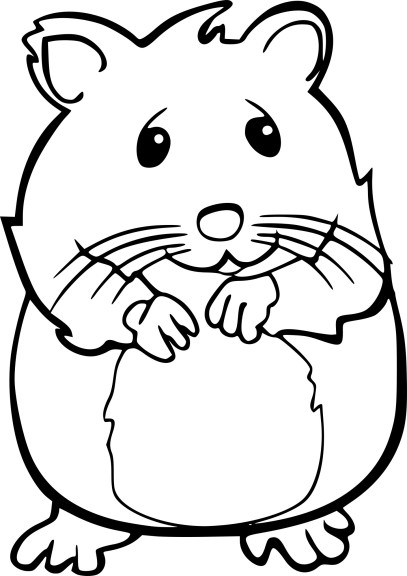 Coloriage Hamster À Imprimer avec Dessin De Pingouin À Imprimer