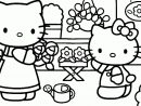 Coloriage Hello Kitty Dans Le Jardin Et Dessin À Colorier destiné Coloriage En Ligne Hello Kitty