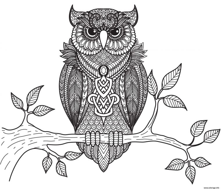 Coloriage Hibou Animaux Adulte Anti Stress Par Bimbimkha concernant Dessin Animaux À Imprimer