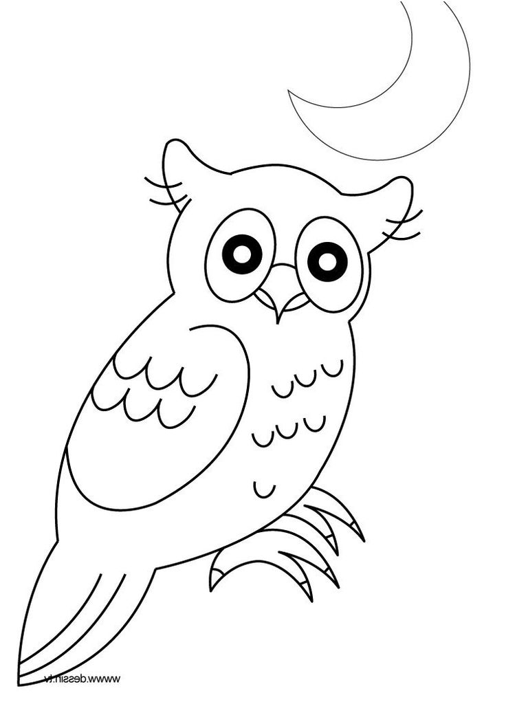 Coloriage Hibou Animaux De La Foret  Coloriage Hibou serapportantà Dessins Hibou 