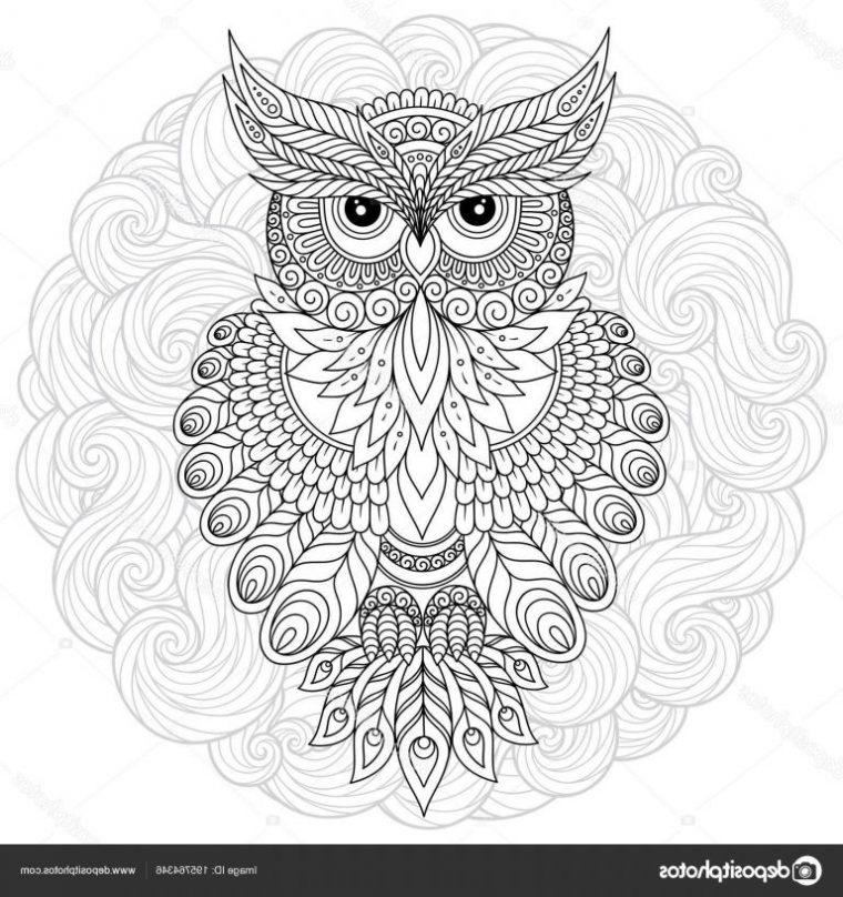 Coloriage Hibou Mandala Bestof Photos Inspirant Image A concernant Mandala Hibou