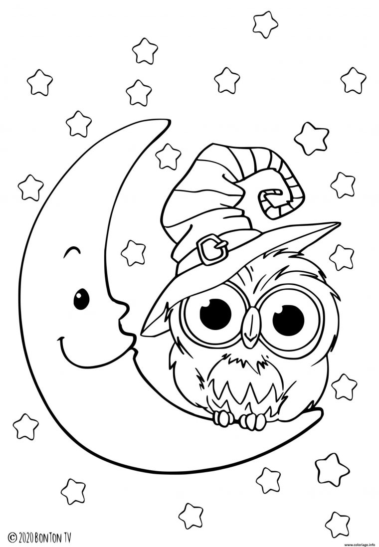 Coloriage Hibou Sur La Lune Pour Le Jour De Halloween à Coloriage Halloween A Imprimer