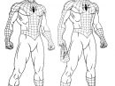 Coloriage Imprimer Spiderman Gratuit - Coloriage Imprimer avec Coloriage Gratuit Spiderman