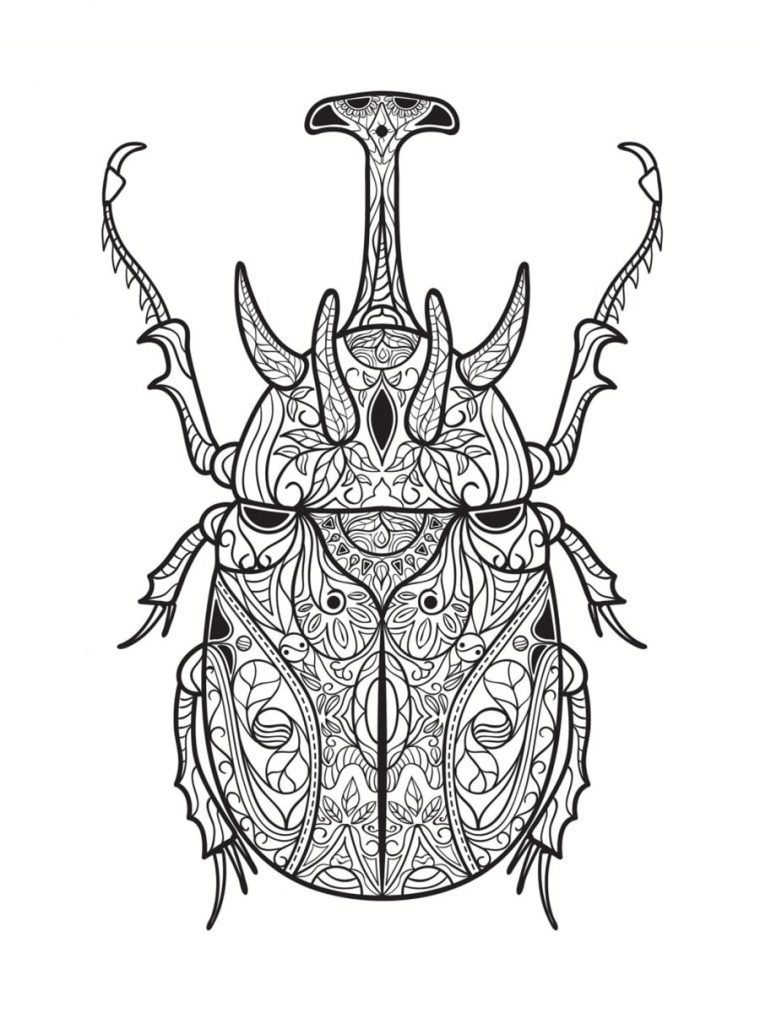 Coloriage Insecte : Dessins À Imprimer Gratuitement encequiconcerne Insecte Dessin