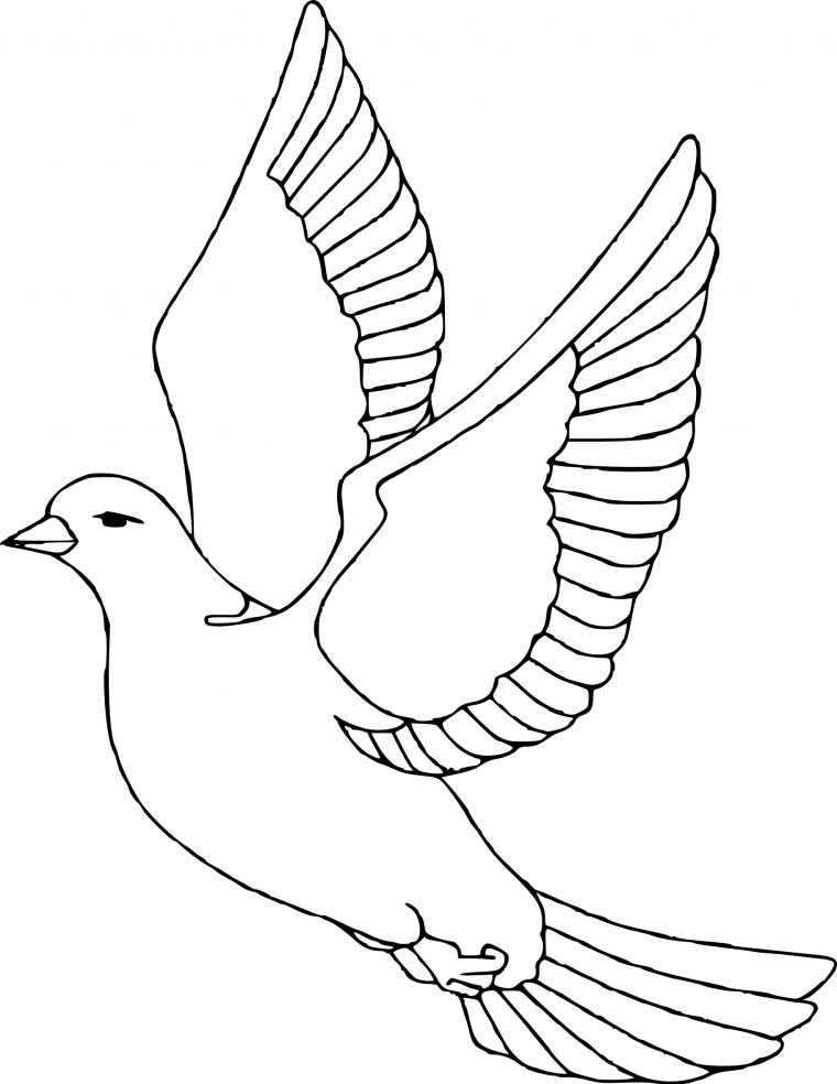 Coloriage La Colombe Oiseau À Imprimer Et Colorier intérieur Dessin A Colorier