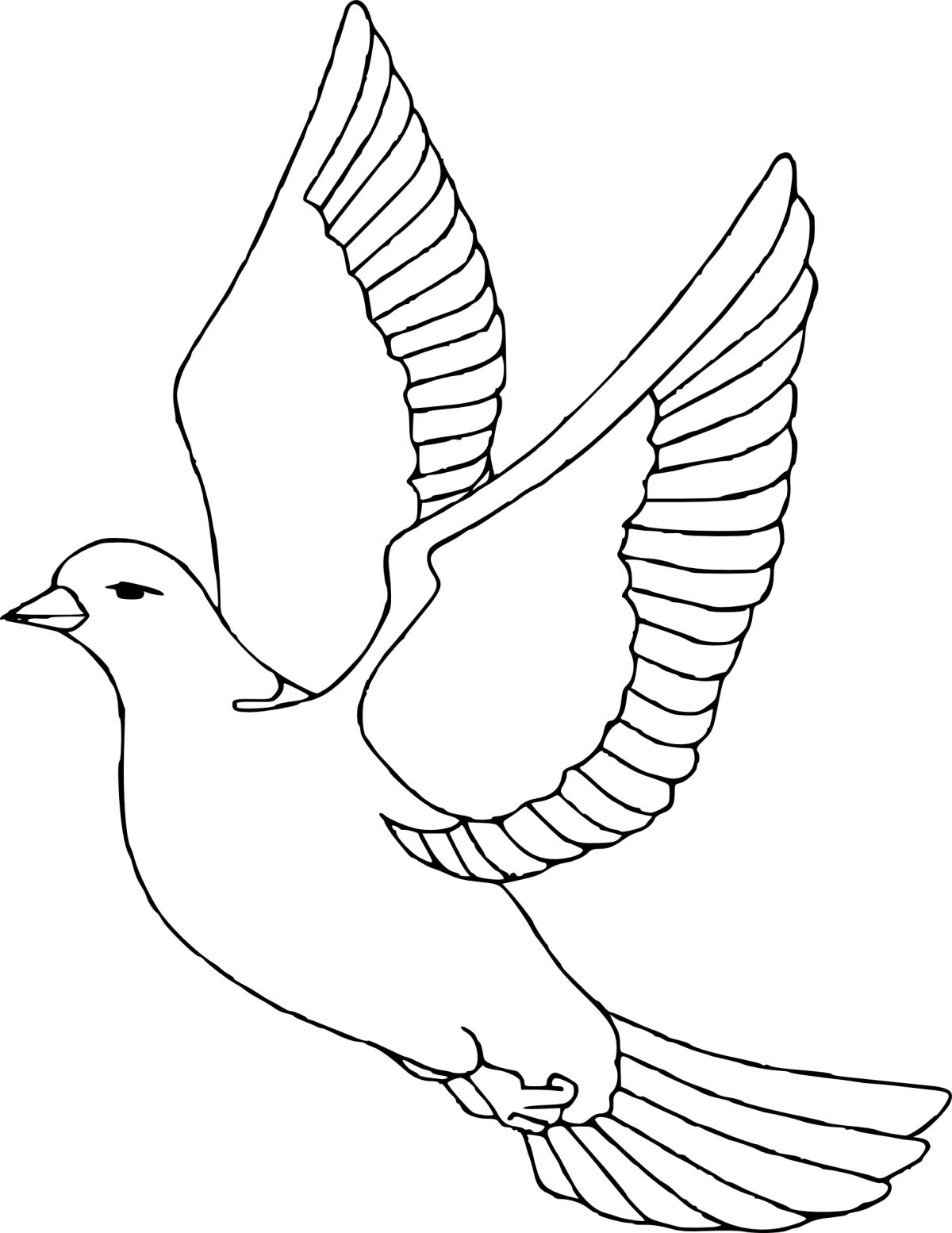 Coloriage La Colombe Oiseau À Imprimer Et Colorier intérieur Dessin A Colorier Et A Imprimer