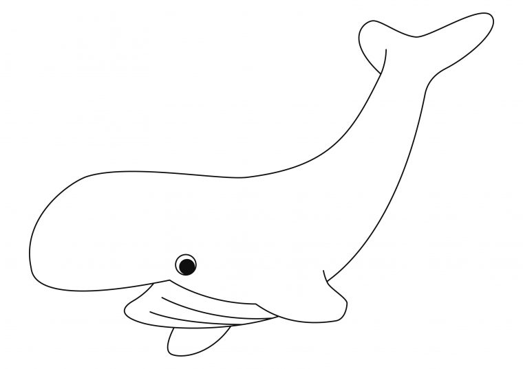 Coloriage – La Mer : Baleine 08 – 10 Doigts concernant Coloriage Baleine