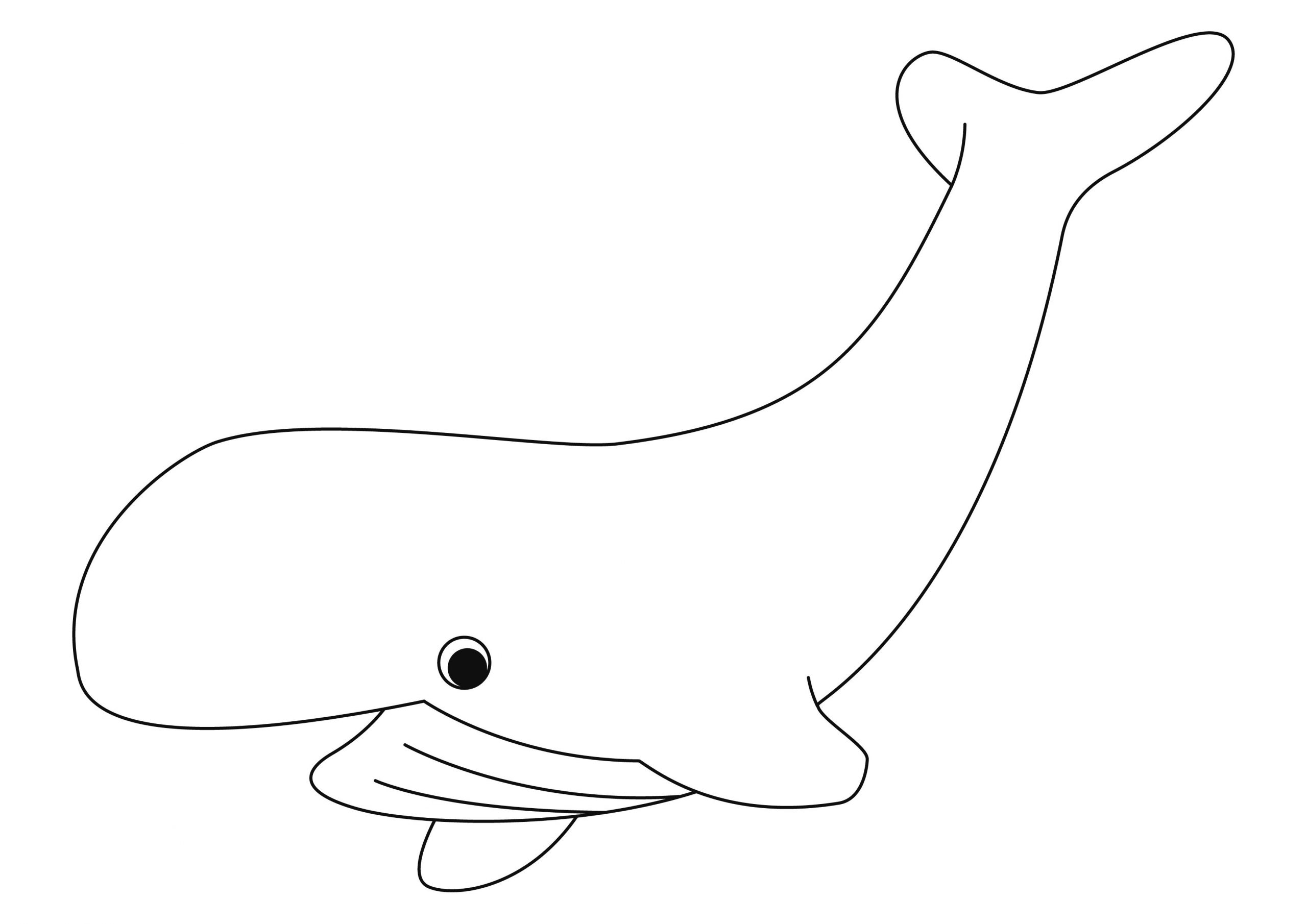 Coloriage - La Mer : Baleine 08 - 10 Doigts concernant Coloriage Baleine 