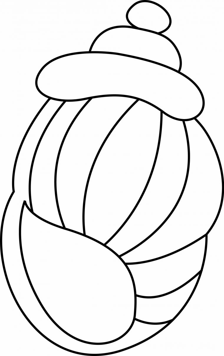 Coloriage – La Mer : Coquillage 04 – 10 Doigts avec Coloriage De Coquillage