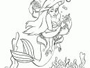Coloriage La Petite Sirene avec Ariel La Petite Sirene Dessin