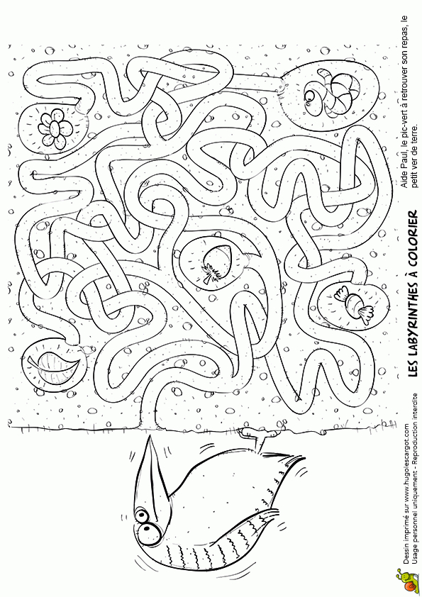 Coloriage Labyrinthe De Paul Le Pic Vert Sur Hugolescargot encequiconcerne Coloriage Labyrinthe