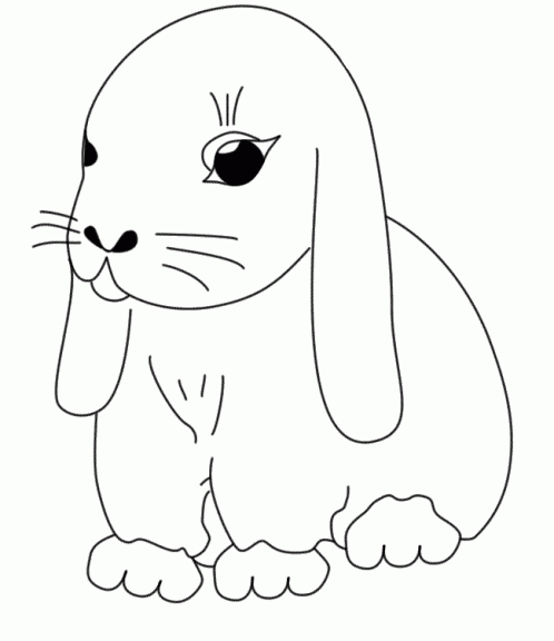 Coloriage Lapin Mignon Gratuit À Imprimer tout Dessin De Lapin Facile A Dessiner 