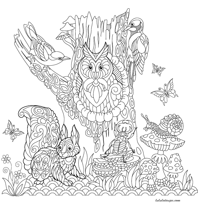 Coloriage, Les Animaux De La Forêt - Lulu La Taupe, Jeux dedans Coloriage D Animaux Gratuit 