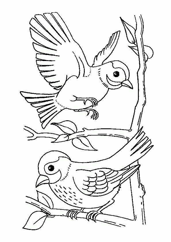 Coloriage Les Deux Moineaux pour Coloriage Oiseaux À Imprimer 