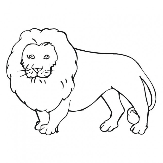 Coloriage Lion 10 Dessin Gratuit À Imprimer pour Lion À Imprimer