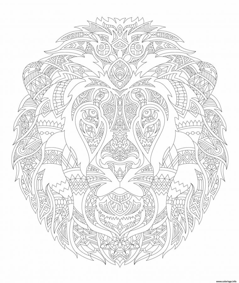 Coloriage Lion Adulte Animal Relax Dessin Adulte Animaux À intérieur Coloriage D Adulte