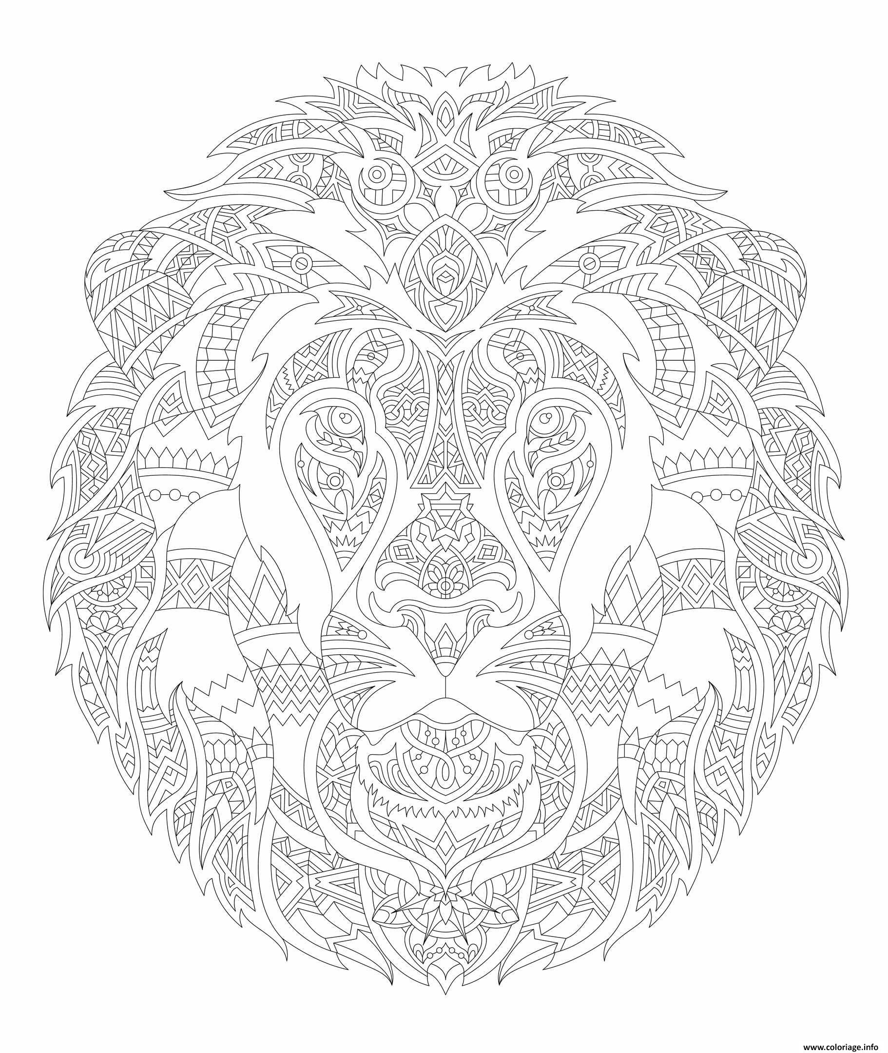 Coloriage Lion Adulte Animal Relax Dessin Adulte Animaux À intérieur Coloriage D Adulte 