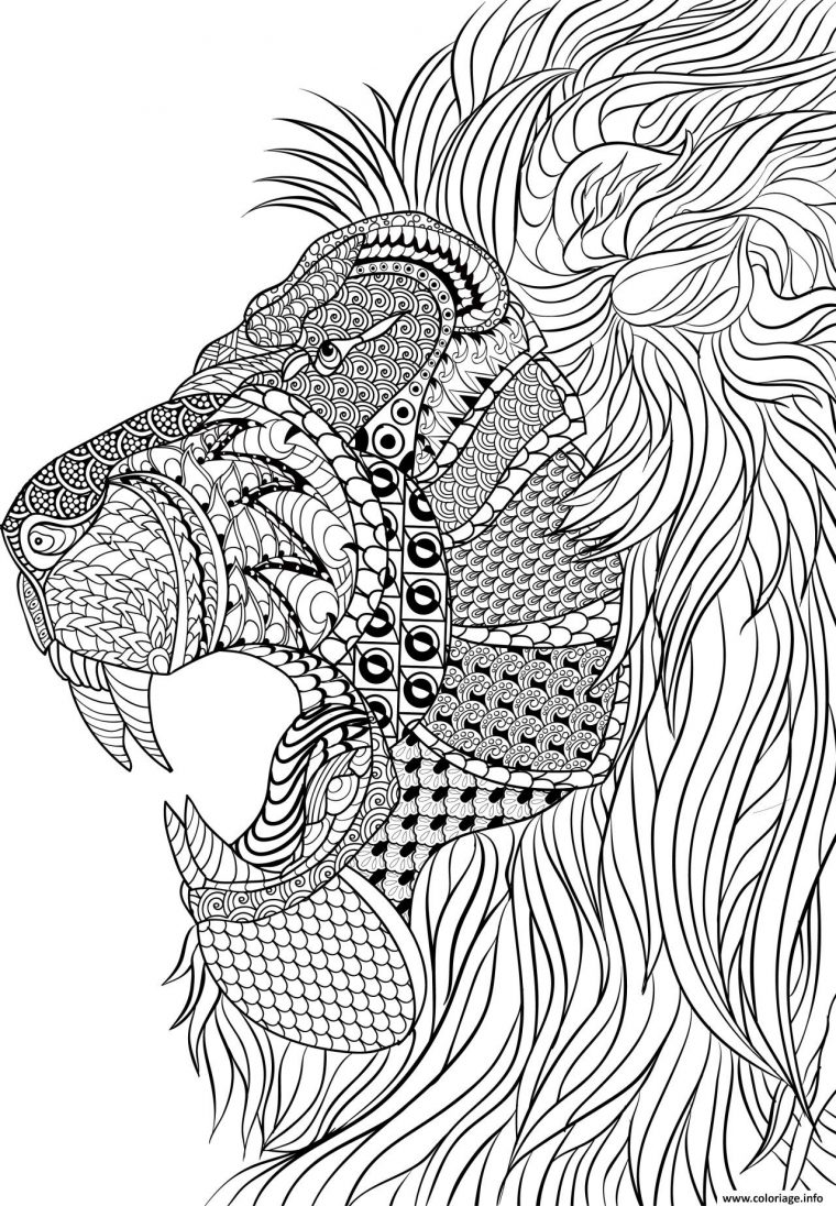 Coloriage Lion Adulte Anti Stress Dessin Adulte À Imprimer tout Coloriages Adultes Gratuits