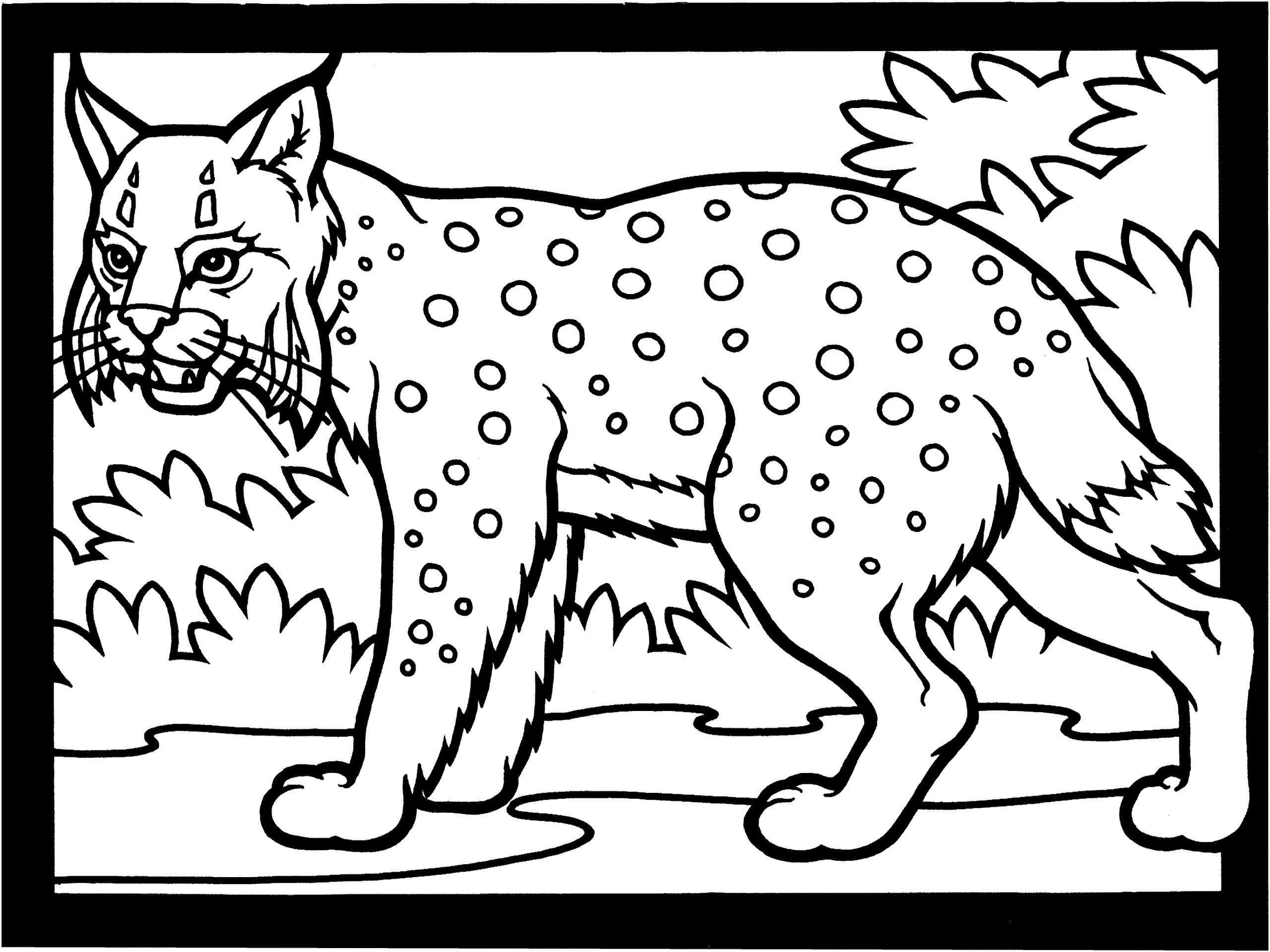 Coloriage Lynx #10810 (Animaux) - Album De Coloriages serapportantà Dessin A Colorier D Animaux 