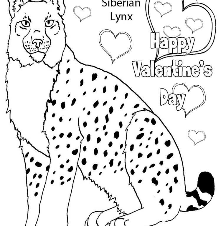 Coloriage Lynx #10876 (Animaux) - Album De Coloriages serapportantà Coloriage De Lynx 