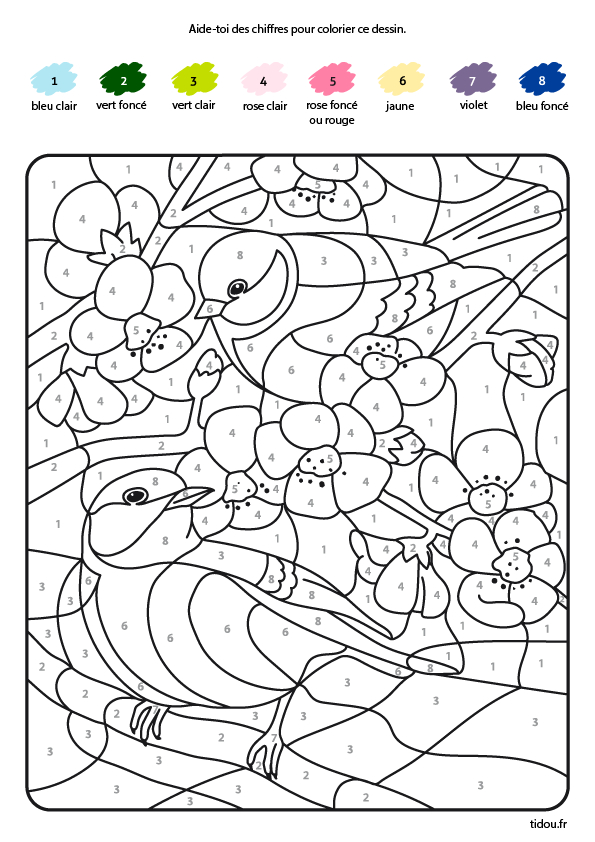 Coloriage Magique, Les Oiseaux - Tidou.fr destiné Coloriage Magique 