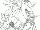 Coloriage Magnolia 08 - Coloriage En Ligne Gratuit Pour Enfant pour Coloriage Pour Adulte En Ligne