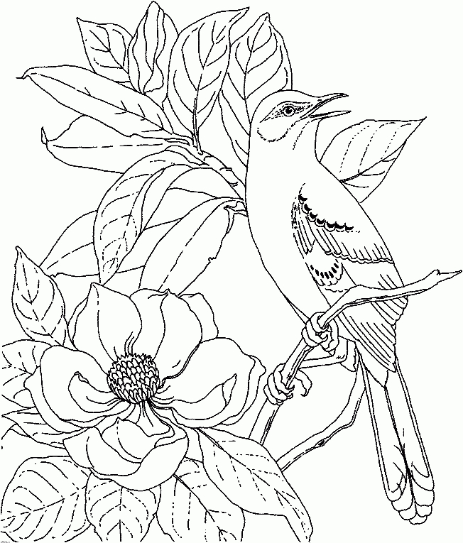 Coloriage Magnolia 08 - Coloriage En Ligne Gratuit Pour Enfant pour Coloriage Pour Adulte En Ligne 