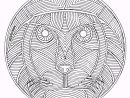 Coloriage Mandala Animaux Lion En Ligne Dessin Gratuit À intérieur Mandala Dragon À Imprimer