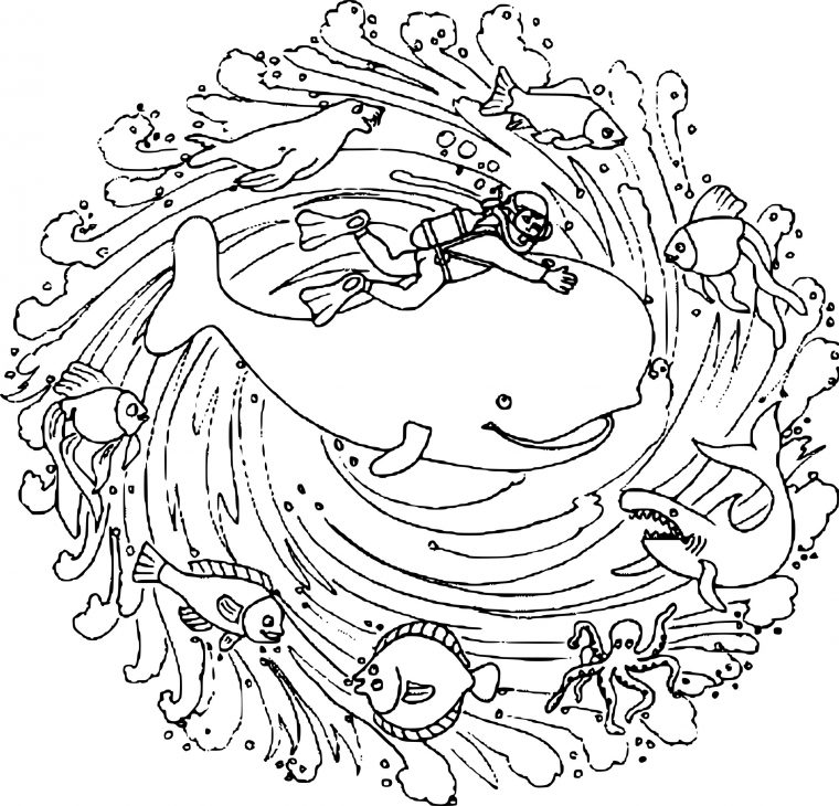 Coloriage Mandala Animaux Marins À Imprimer encequiconcerne Coloriage À Imprimer Animaux