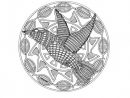 Coloriage Mandala Animaux Oiseau Dessin Gratuit À Imprimer pour Coloriage Mandalas À Imprimer Gratuit