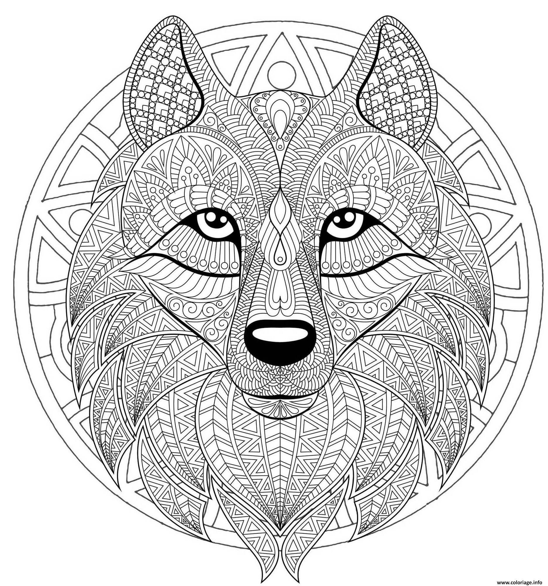 Coloriage Mandala Loup Difficile Complexe Beau Loup Dessin dedans Coloriage Difficile Pour Adulte 