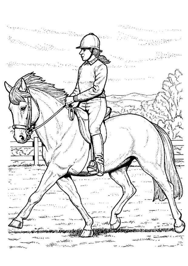 Coloriage Monter À Cheval - Coloriages Gratuits À Imprimer intérieur Dessins De Chevaux À Imprimer 