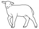 Coloriage Mouton 15 - Coloriage Moutons - Coloriages Animaux avec Coloriage Mouton