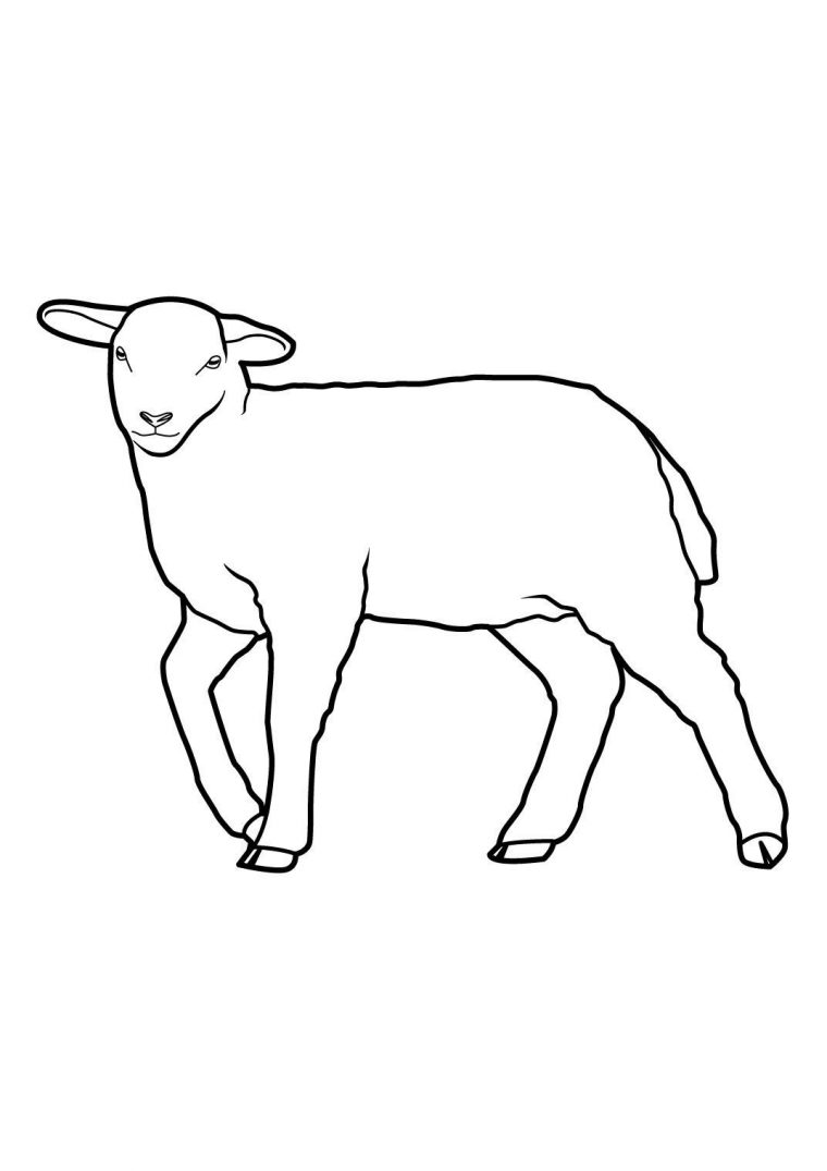 Coloriage Mouton 15 – Coloriage Moutons – Coloriages Animaux avec Coloriage Mouton