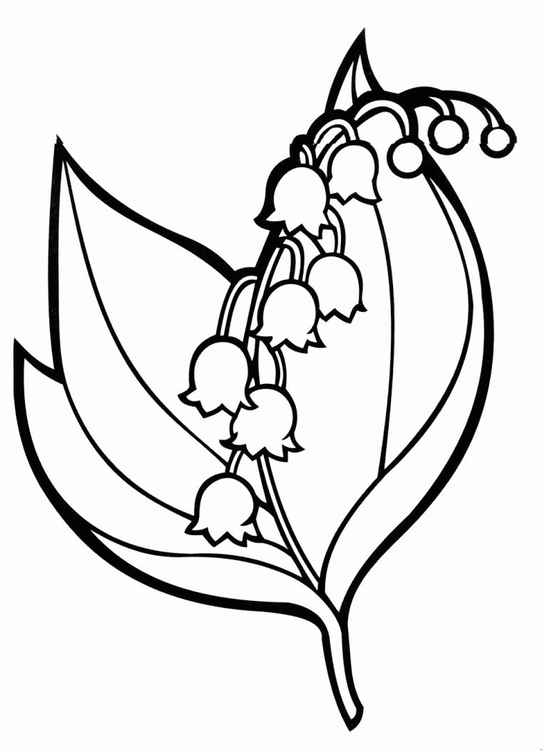 Coloriage – Muguet avec Cloriage