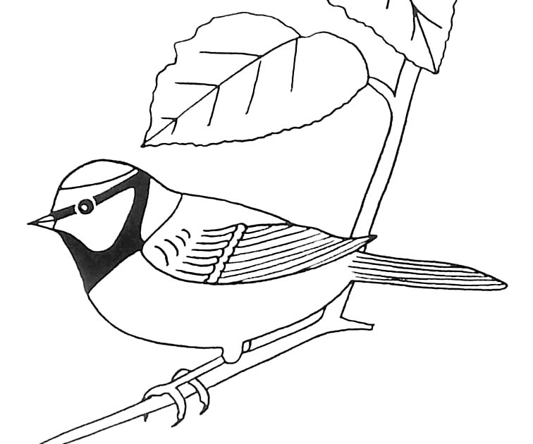 Coloriage Oiseau À Imprimer Pour Les Enfants - Cp19706 destiné Dessin Facile Oiseau 