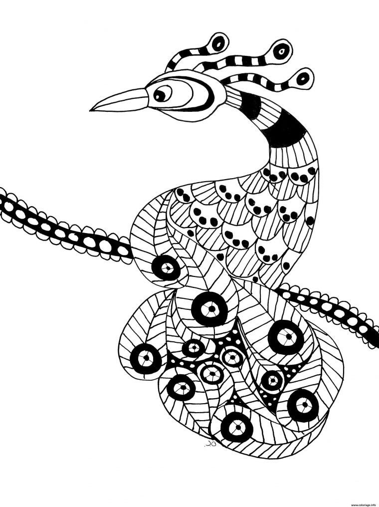 Coloriage Oiseau Extraordinaire Dessin Adulte Animaux À destiné Dessin Oiseau