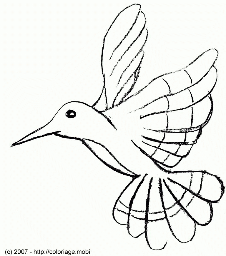 Coloriage Oiseau - Les Beaux Dessins De Animaux À Imprimer dedans Dessin Oiseau Simple