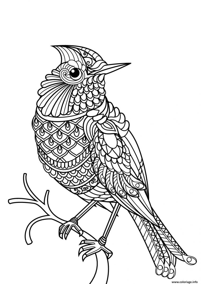 Coloriage Oiseau Mandala Difficile Adulte Dessin Oiseau À intérieur Coloriage D Adulte