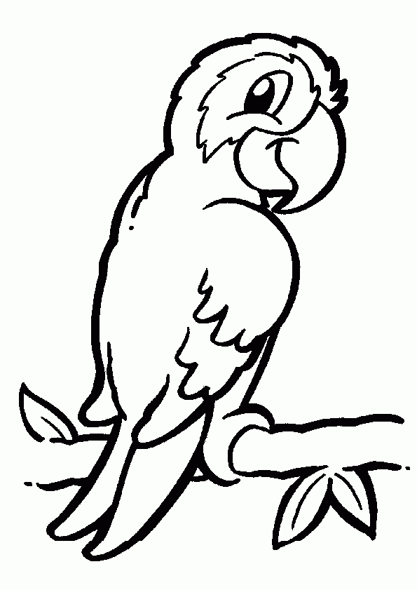 Coloriage Oiseau Perroquet Sur Hugolescargot intérieur Dessin D Oiseau À Imprimer 